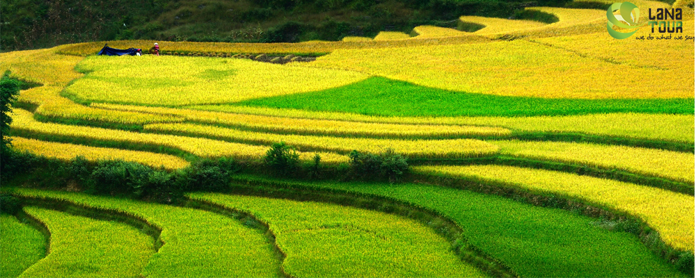 Ha Giang